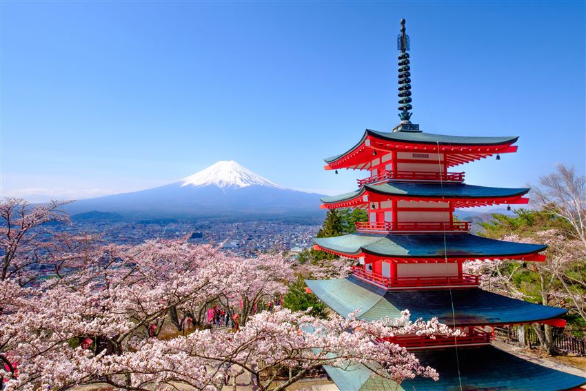 【1人成團】日本富士山一日遊｜河口湖遊覧船天晴號・新倉山淺間公園・日川時計店・忍野八海・大石公園｜東京銀座出發