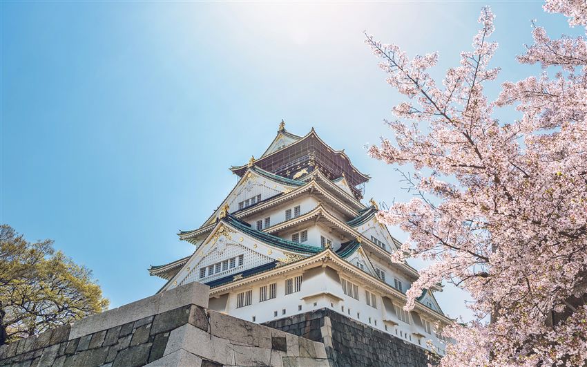顺道游关西京阪奈│天桥立.伊根舟屋.达摩胜尾寺.奈良梅花鹿.伏见稻荷大社.环球影城6日│台湾出发含机票