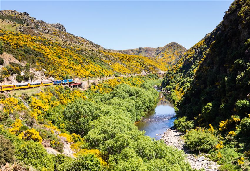 紐西蘭旅遊｜經典·保住隱士·但尼丁峽谷觀光列車·得獎酒莊·彩色地熱·藍光螢火蟲·美食美酒·慢遊南北島10天